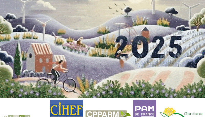 meilleurs voeux 2026 cihef