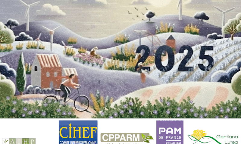 meilleurs voeux 2026 cihef