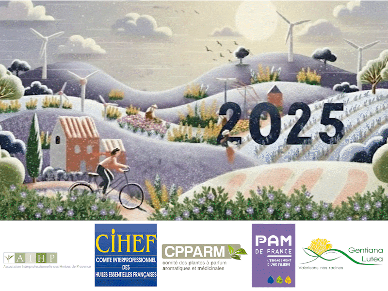 meilleurs voeux 2026 cihef